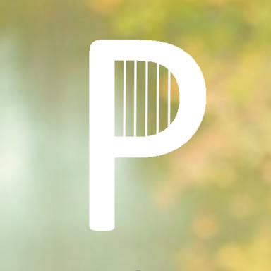 PP