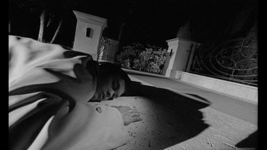 Un Briciolo Di Allegria