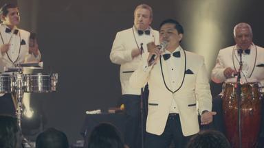El Botones