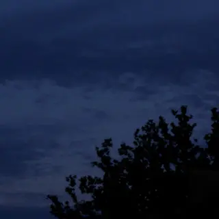 SS