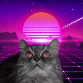 AR