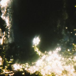 P.