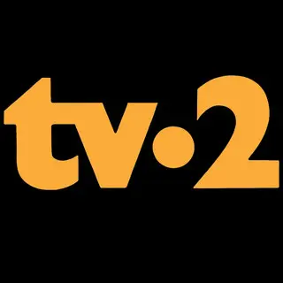 T2