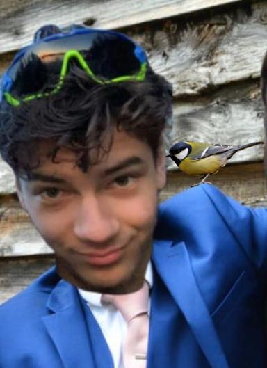 S