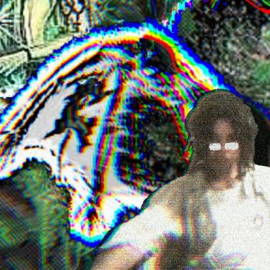 DS
