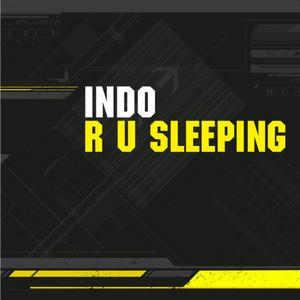 R U Sleeping - Bump 'N' Flex Remix