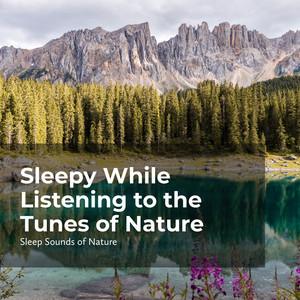 Fall Asleep in the Woods