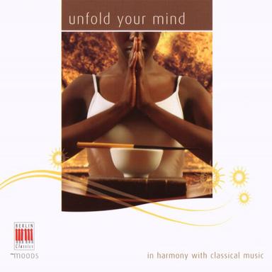 Suite for Orchestra No. 3 in D Major, BWV 1068: II. Air