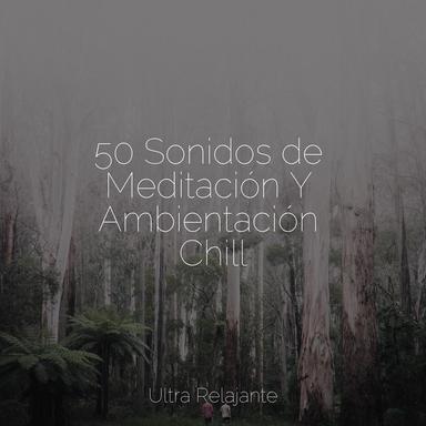 Hora de Música para Dormir