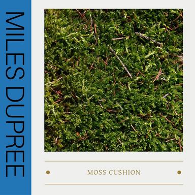 MD