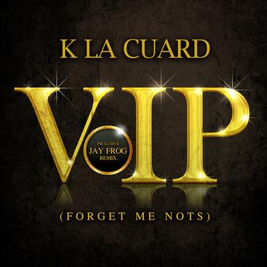 VIP (Forget Me Nots) - Jay Frog Remix