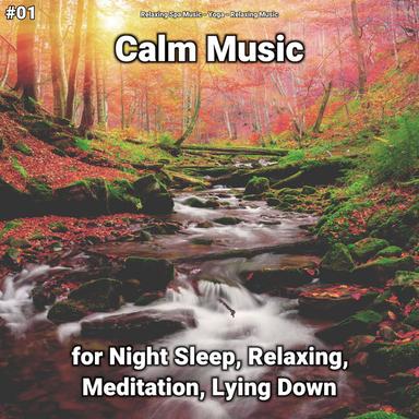Wonderful Relaxing Music