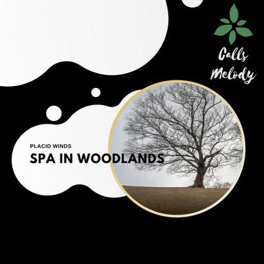 A Gentle Touch (Music for Positive Energy) - Original Mix