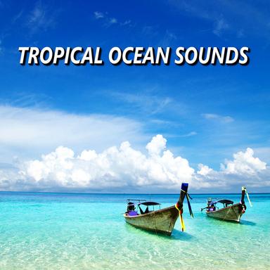 Pure Meditation Beach Waves