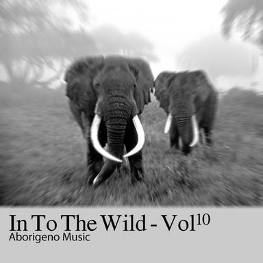 Size 9 - Original mix