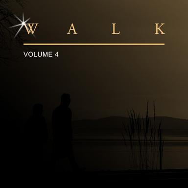 Walk, Vol. 4