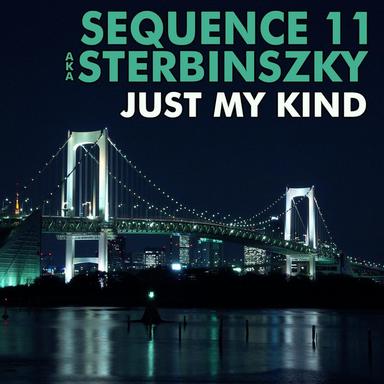 Just My Kind - Radio Edit