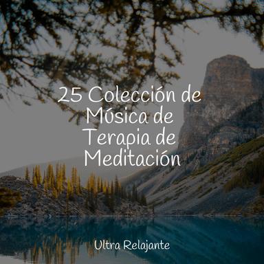 Facilitar