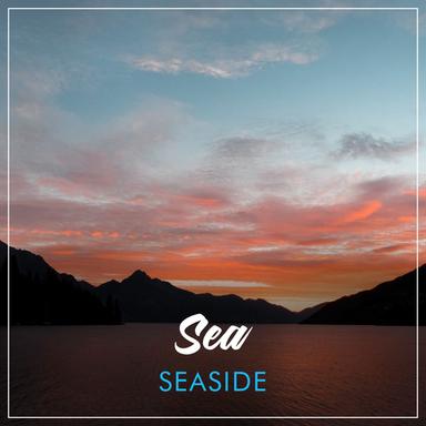 Serene Sandy Beach Waves