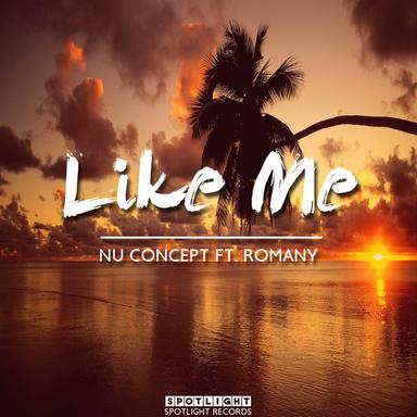 Like Me - Mandal Remix