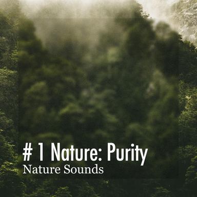 British Feathers Raindrop