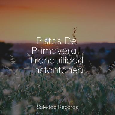Baladas Florecientes