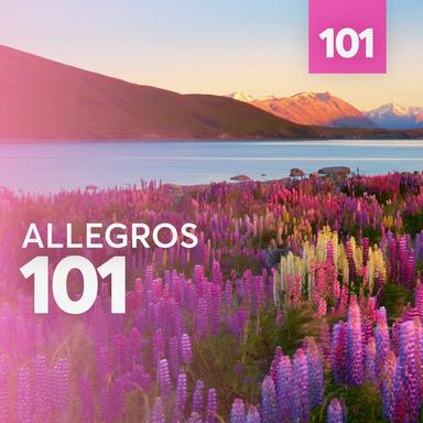 Concerto for Two Cellos in G Minor, RV 531: I. Allegro (moderato)