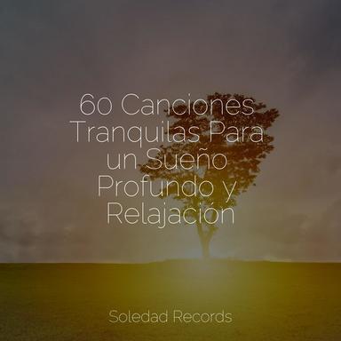 Enfoque Puro