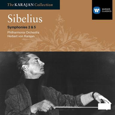 Sibelius: Symphony No. 2 in D Major, Op. 43: II. Tempo andante, ma rubato