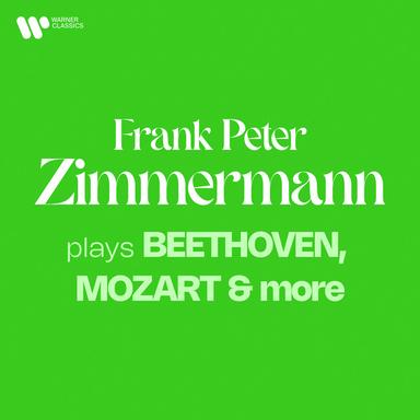 Beethoven: Violin Concerto in D Major, Op. 61: II. Larghetto (Cadenza by Kreisler), Pt. 5