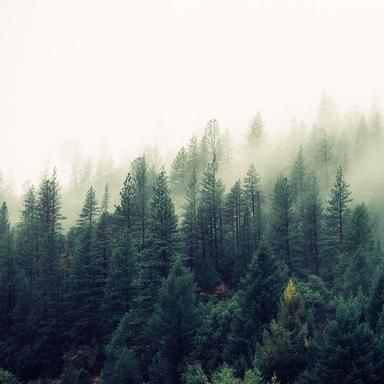 High Mountain Breeze