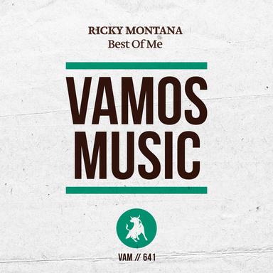 Best Of Me - DJ Romi Remix