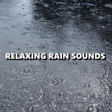 Marvelous Nightfall Rain Sounds