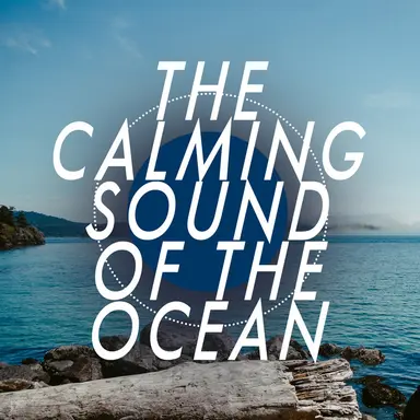 Waves: The Sea Comes In