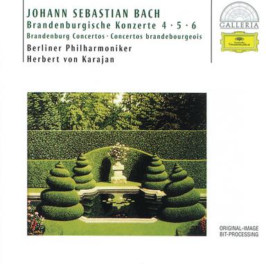 Brandenburg Concerto No. 6 in B-Flat Major, BWV 1051: II. Adagio ma non tanto