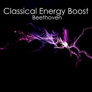 Choral Fantasy in C Minor for Piano, Chorus and Orchestra, Op. 80: II. Finale: e. Presto