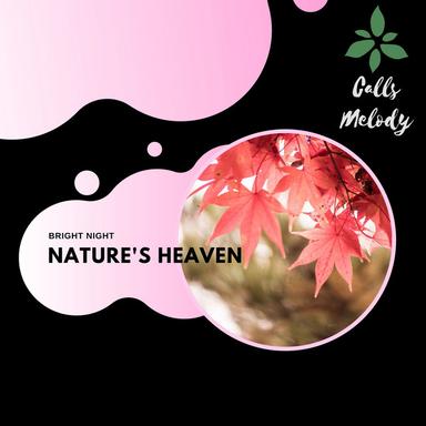 Best Place To Be - Original Mix