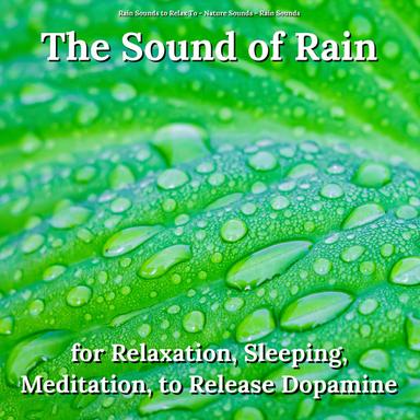 Sleep Sounds