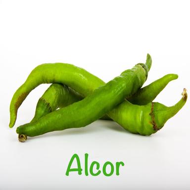Zwei kleine Italiener