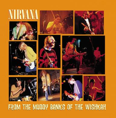 Drain You - Live At Del Mar Fairgrounds / 1991