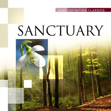 Cello Concerto in B minor, Op. 104 : II. Adagio ma non troppo