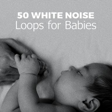 Bird Heart Building Noise