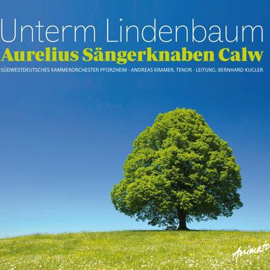 Notturno in H-Dur für Streichorchester, Op. 40