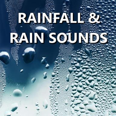 Real Nighttime Rainfall Sounds