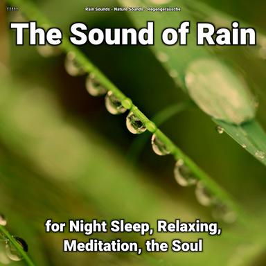 Peaceful Rain Sound