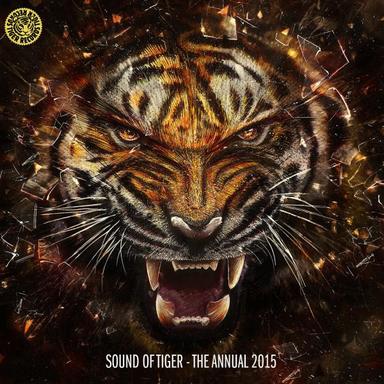 Straight Down - Radio Edit