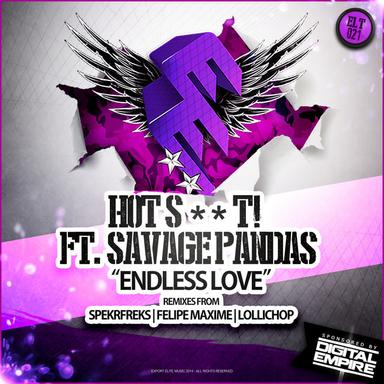 Endless Love - Original Mix