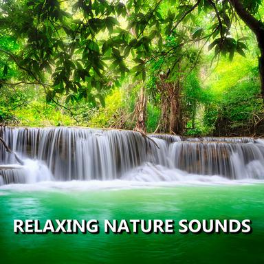 Exemplary Outside Nature Sounds