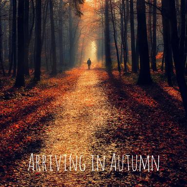 Dark Skies Cool Rain