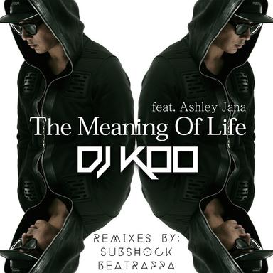 The Meaning Of Life - Subshock Remix